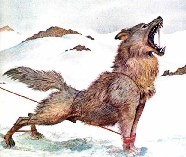 Mythologie nordique