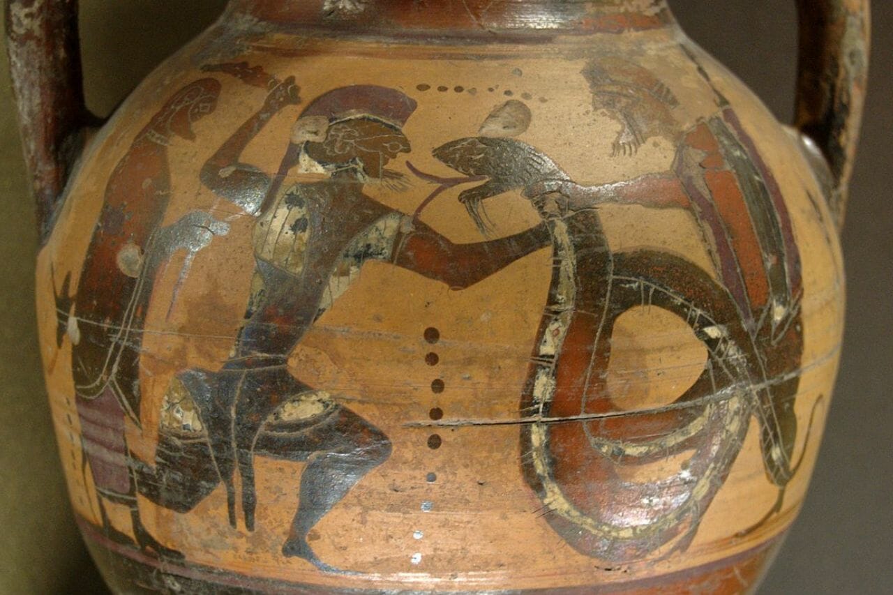 Campé le dragon vicieux