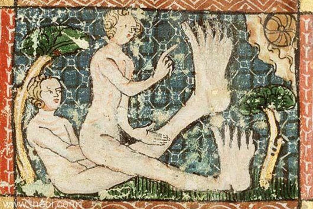 Sciapodes, tout ce que vous devez savoir