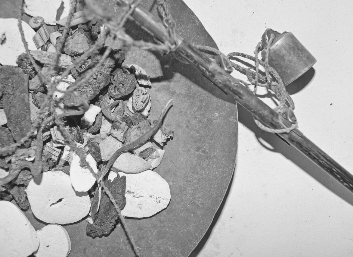 Médecine à base de plantes dans l'Égypte antique