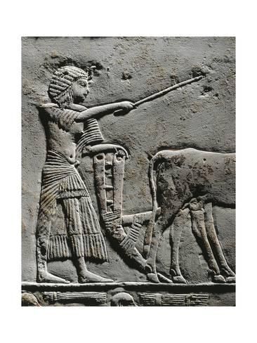 Horemheb labourant la terre dans les champs d'Iarou, relief de la tombe de Horemheb