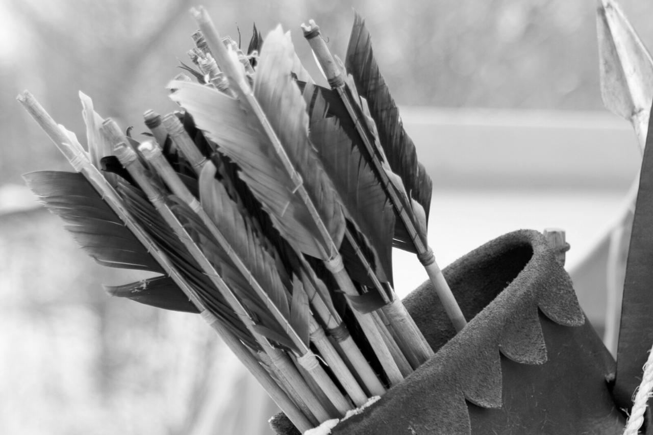 Combien de flèches dans un carquois ? Les bases des arcs et des flèches
