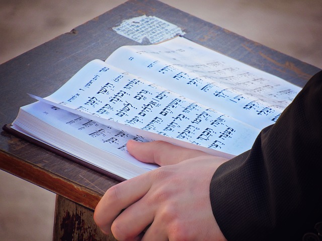 Torah écrite karaïte